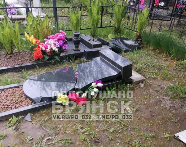 В Почепе неизвестные вандалы устроили погром на кладбище