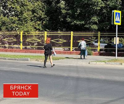 В Брянске пройдет масштабная акция ГИБДД «Ребенок-пешеход»