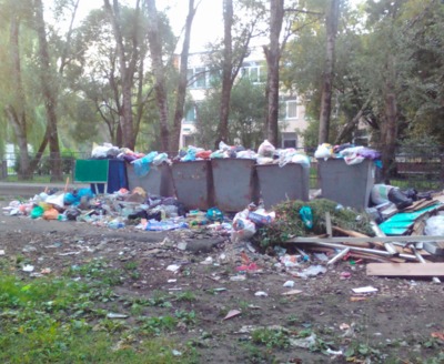 В Брянске сняли на фото мусорную катастрофу возле школы №60