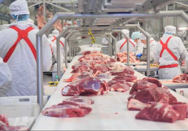 Брянская говядина «Мираторга» пойдет на экспорт в Китай