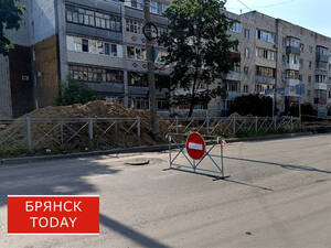 На Брянщине отремонтировали треть запланированных на год автодорог