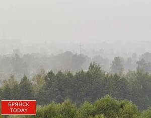 В Брянской области объявили жёлтый уровень погодной опасности