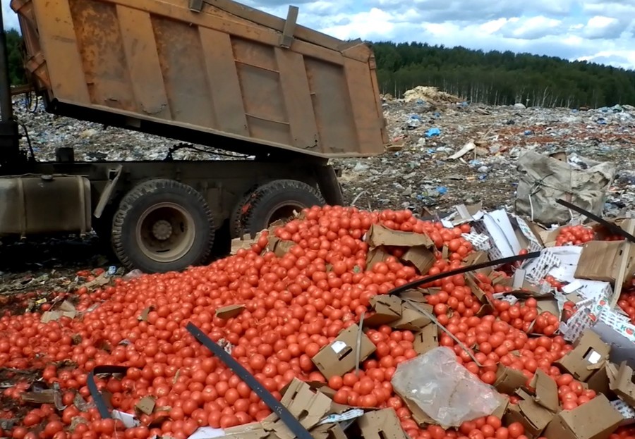 На брянской границе раздавили трактором 21 тонну яблок, томатов и винограда