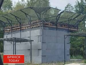 Тревожные вести приходят от жителей нескольких районов Брянской области