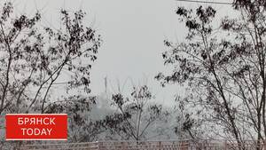 Новая волна сильных снегопадов накроет Брянщину в середине недели