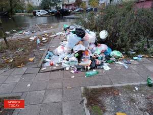 Жителей Новозыбкова предупредили о закрытии мусорной площадки