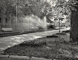 Брянцам показали утопающий в зелени бульвар Гагарина