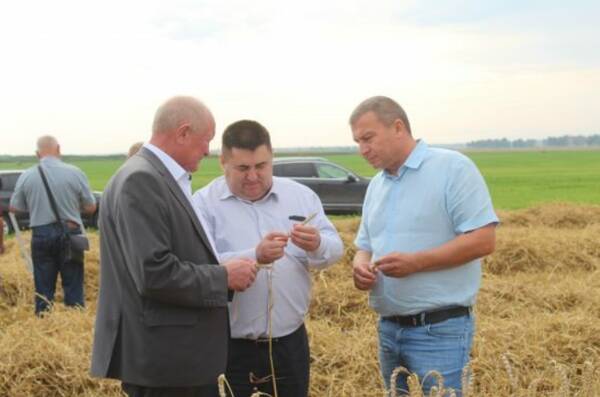 Замгубернатора Борис Грибанов оценил ход уборки зерновых в Севском и Комаричском районах