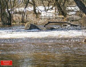 Брянские реки Десна и Болва стремительно выходят из берегов