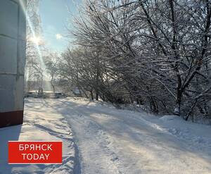 Мороз до -25 градусов ожидается в Крещенский сочельник в Брянской области