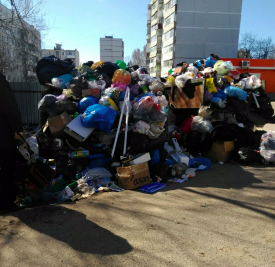 Брянск начал превращаться в полигон бытовых отходов