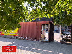 Ответственному брянскому бизнесу ускорили помощь при трудовых спорах