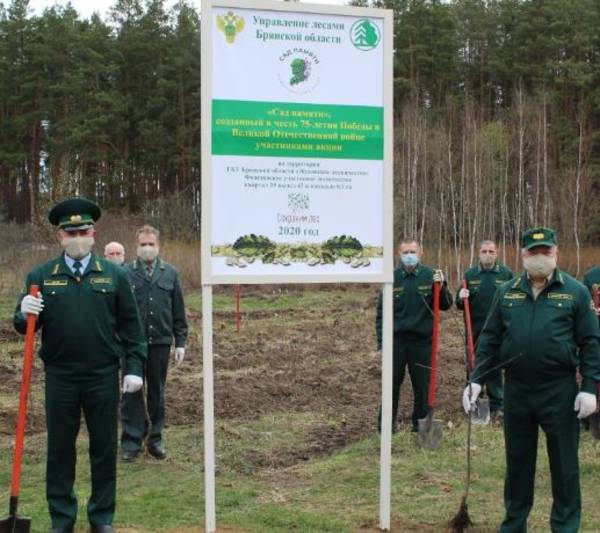 Жуковский 9 мая 2024 мероприятия