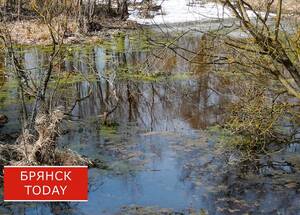 В первый день весны в Брянской области потеплеет до +5 градусов