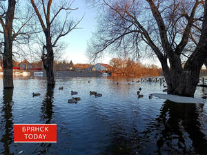 Вновь опасно: жителям Брянской области объявили предупреждение