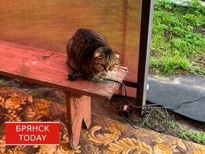 Придумай подпись