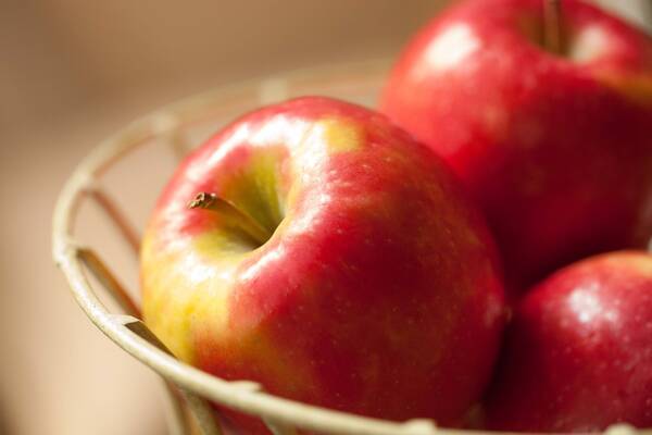 «Формула еды» на телеканале «России 1» рассказала о пользе брянских яблок