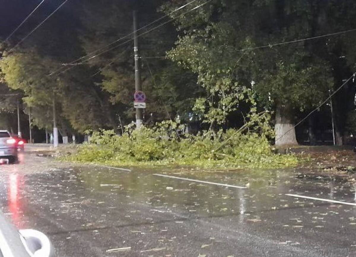 В Брянске стихия повалила 15 деревьев и повредила 2 автомобиля | 08.10.2023  | Брянск - БезФормата