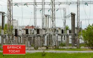 В Новозыбкове из-за ветра произошли массовые отключения электричества