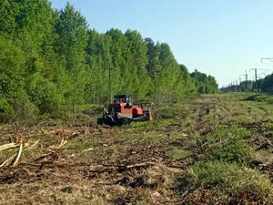 В Брянской области убрали сорняки на площади 432 га вдоль железных дорог
