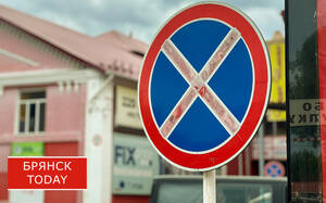 Ещё 15 брянских водителей поплатились за парковку в неположенном месте