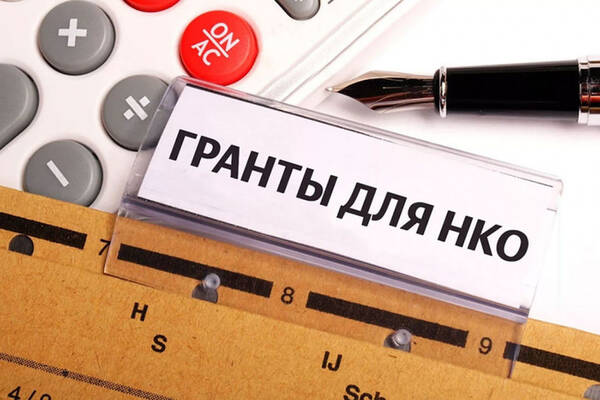 Брянская область получит более 14 млн рублей на поддержку НКО