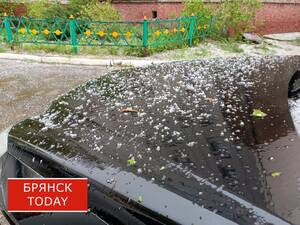 22 июня ожидаются грозы, град и сильный ветер в Брянской области
