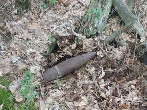 В Новозыбкове эхо войны едва не обернулось взрывом