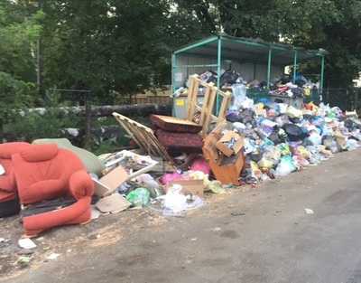 Телеканал «Брянская губерния» выяснил причины мусорного кошмара