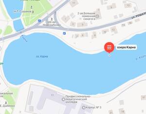 Прокуратура проверит сигнал о загрязнении озера Карна в Новозыбкове