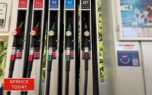 Бензин под контролем: в Брянской области хотят ограничить цены на АЗС