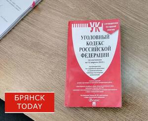 В Карачеве нашли вора, укравшего ноутбук и колонку