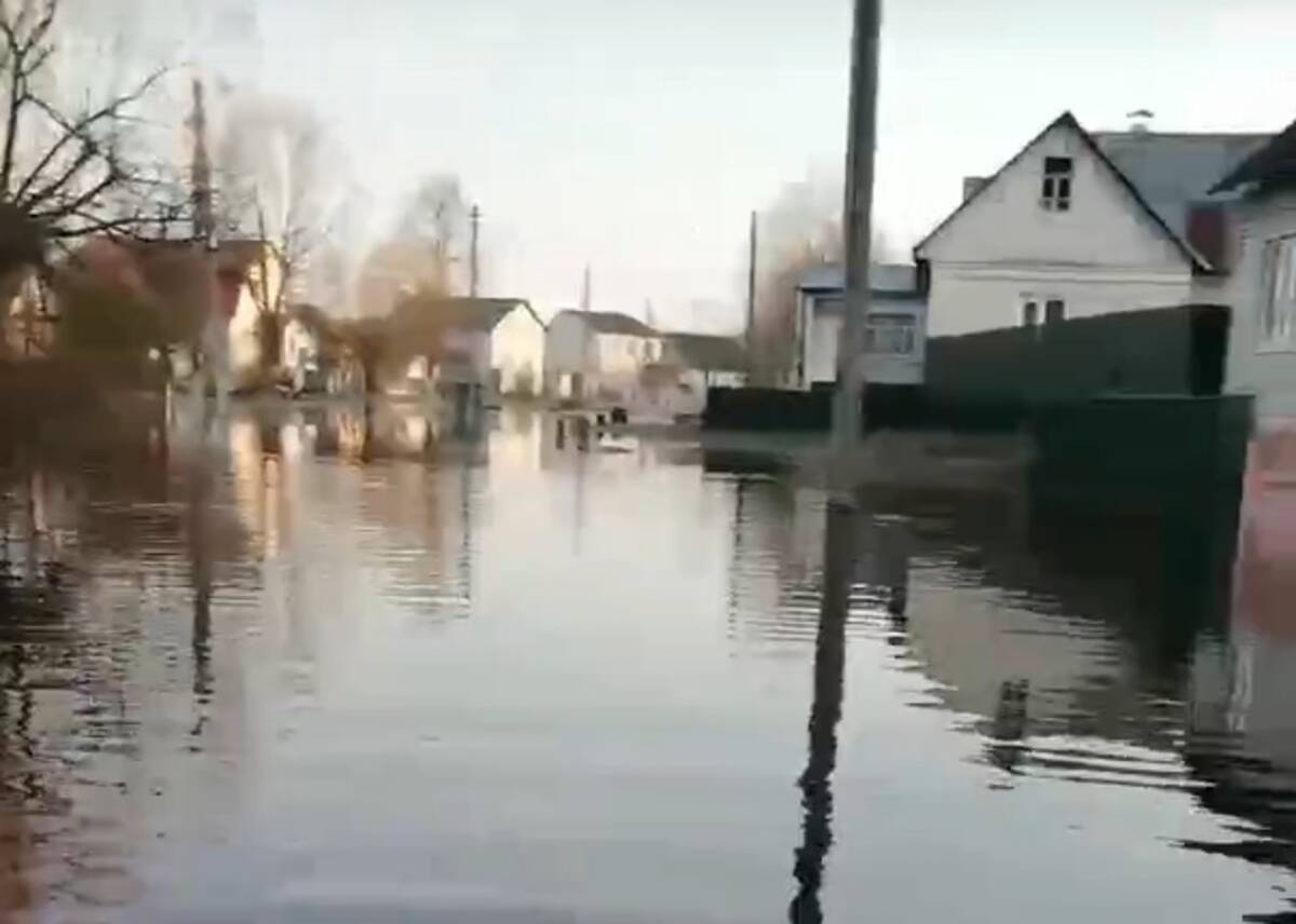 В брянской Радице-Крыловке затопило дома | 30.03.2024 | Брянск - БезФормата