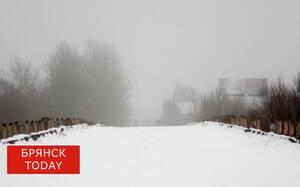 На смену холодам в Брянскую область пришли оттепель и туман