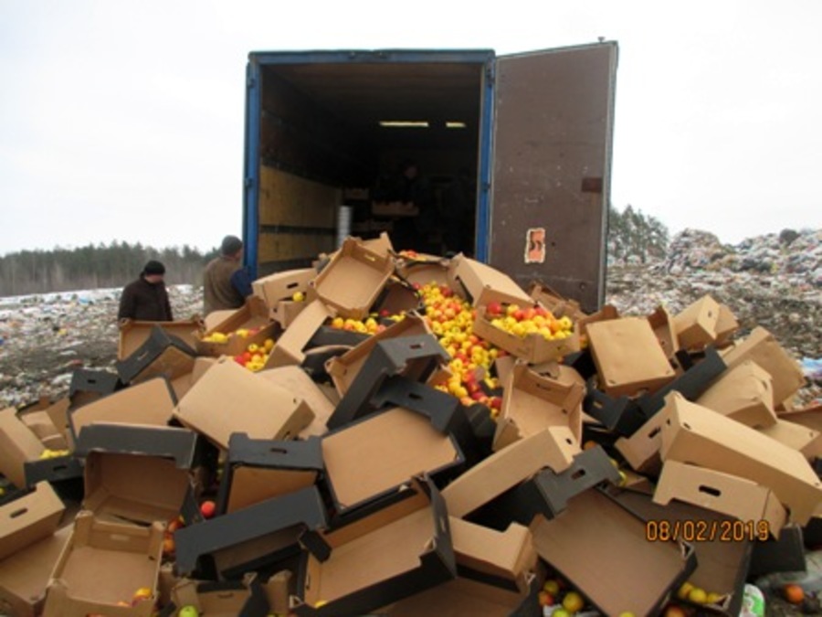  На Брянщине бульдозером раздавили 9 тонн яблок из Белоруссии
