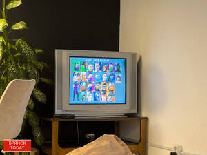 Народный избранник назвал 30-летних брянских мужчин «лузерами»