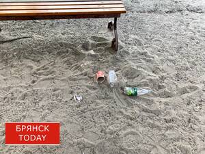 На ВЭФ 2026 очистили побережье острова Попова