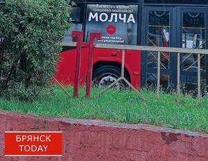 Самозапрет на кредиты спас 61-летнего брянца от телефонных мошенников