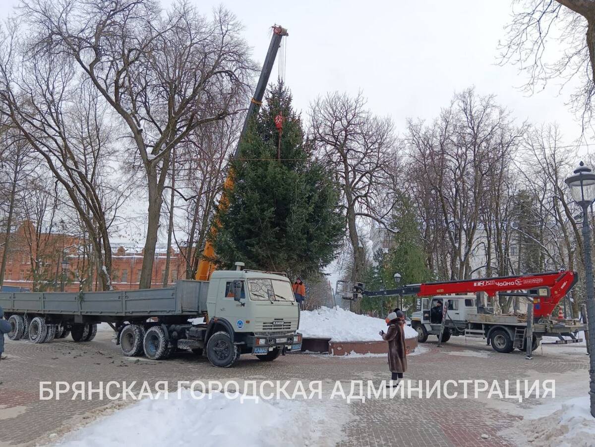 В Брянске установили главную новогоднюю елку | 08.12.2023 | Брянск -  БезФормата