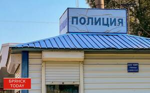 МВД: в Брянской области снизилось число краж, грабежей и разбоев 