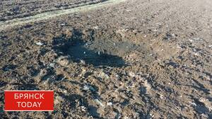 Во время украинского удара пострадала жительница Ломаковки