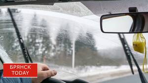 Брянца арестовали на трое суток за отказ снять тонировку