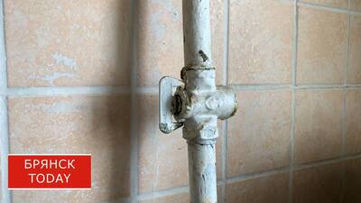 С марта в Брянской области изменились правила пользования газом