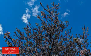 Богомаз объявил об отбое ракетной опасности в Брянской области