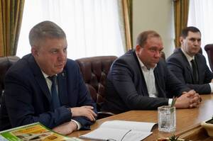 Александр Богомаз и Борис Эбзеев обсудили вопросы функционирования электросетевого комплекса Брянской области