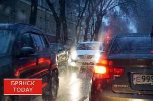 Получение дубликата гос номера авто