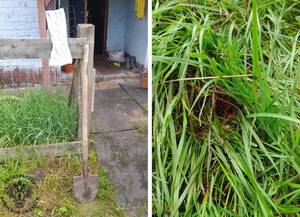 Брянец «отсидит» 2 года 8 месяцев за удар по голове лопатой