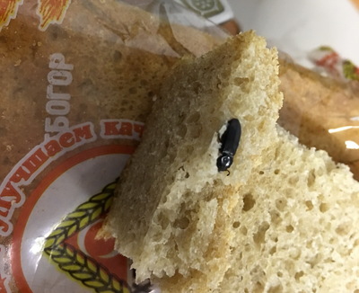 «С изюмом»: в Брянске нашли жука в хлебе