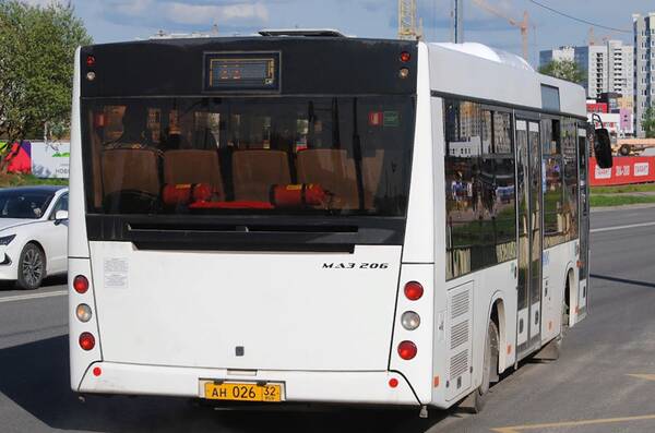 Брянцы пожаловались на лихачество автоледи за рулем автобуса №31