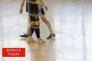 Творчество и спорт: в Брянской области прошел фестиваль «Дружба без границ» 